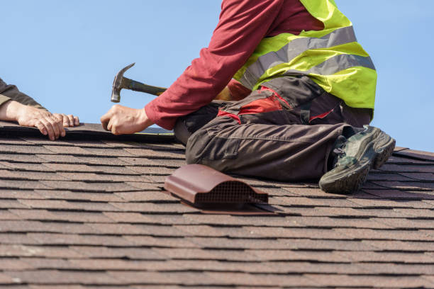 Best Metal Roofing Contractor  in Delisle, MS
