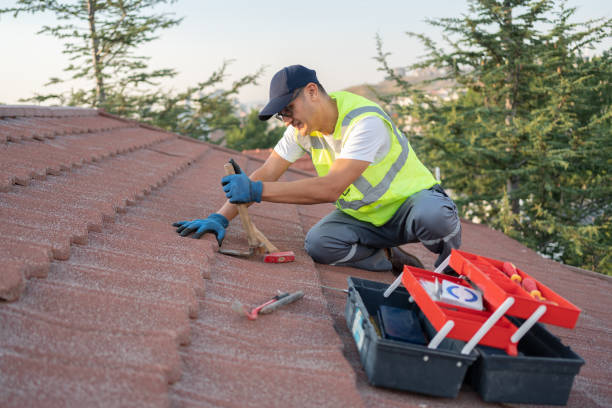 Best Commercial Roofing Services  in Delisle, MS