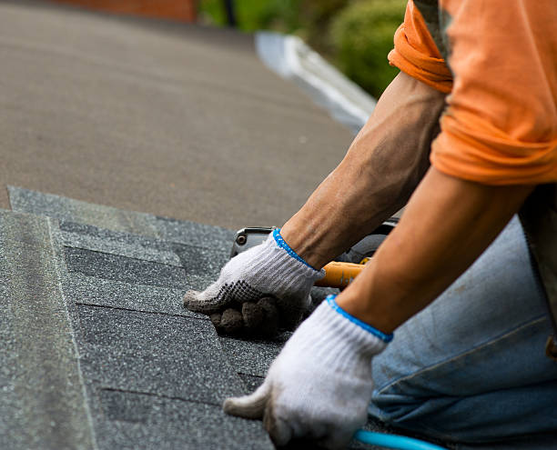 Best Roof Maintenance Services  in Delisle, MS