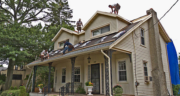 Best Gutter Installation and Roofing  in Delisle, MS
