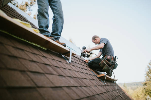 Best New Roof Installation  in Delisle, MS